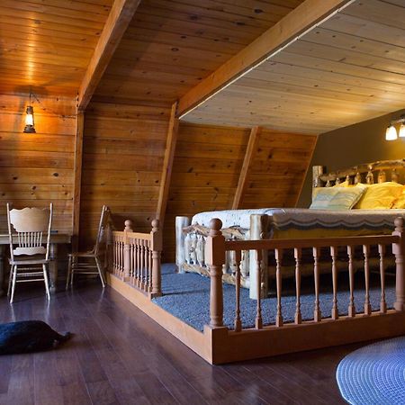 Hicksville Pines Chalets & Motel アイディルワイルド エクステリア 写真