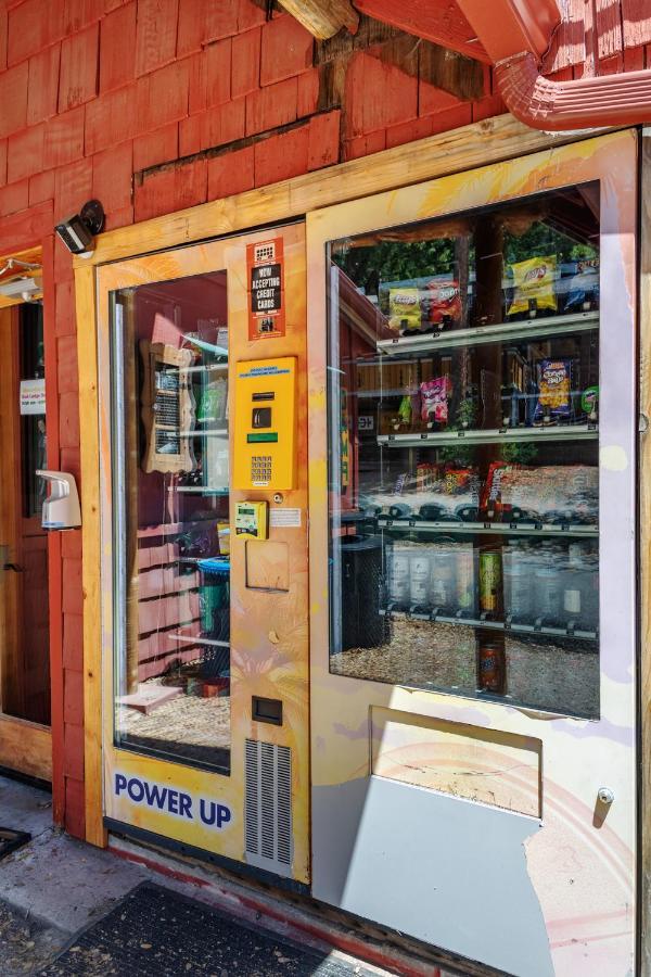 Hicksville Pines Chalets & Motel アイディルワイルド エクステリア 写真